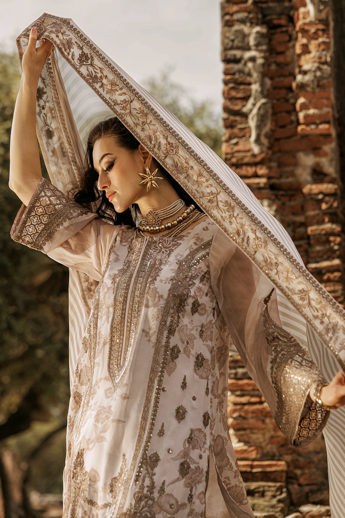 Charizma - Vasl Luxury Chiffon Collection 2025 Vol-01