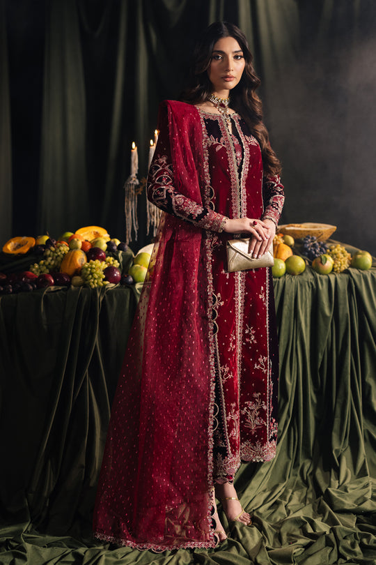 Qalamkar - Velvet Collection 2024