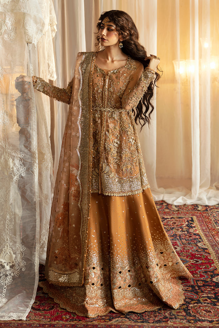 Afrozeh - Hayat Wedding Formal Collection 2024