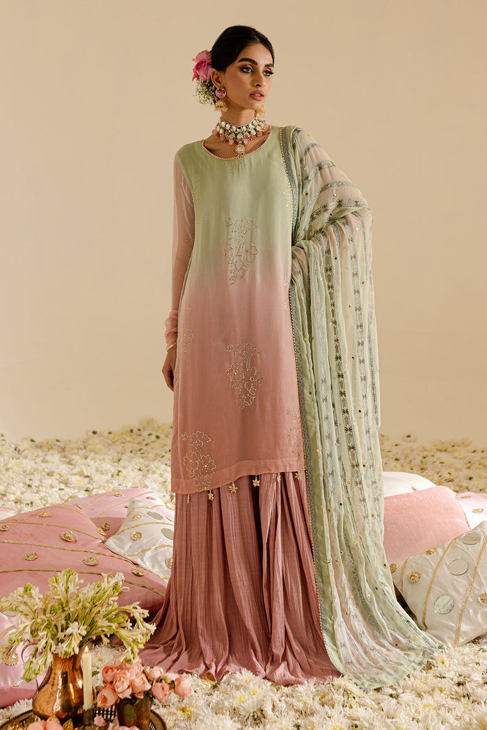 Nureh - Mukeshkari Chiffon Collection 2025